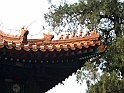 cina 175